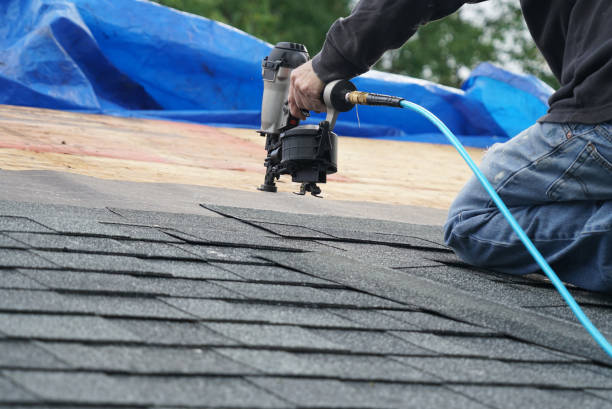 Best Flat Roof Repair Services  in Brooklyn Center, MN