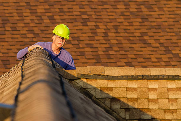 Best Roof Maintenance Services  in Brooklyn Center, MN