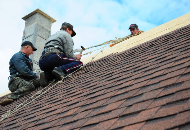 Best Gutter Installation and Roofing  in Brooklyn Center, MN